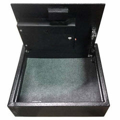 Hollon Safes Safeguard  PB-BIO-2 PB-BIO-2